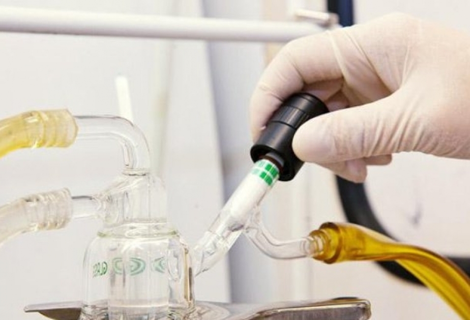 Kiyevdə böyük narkotik laboratoriyası aşkarlanıb