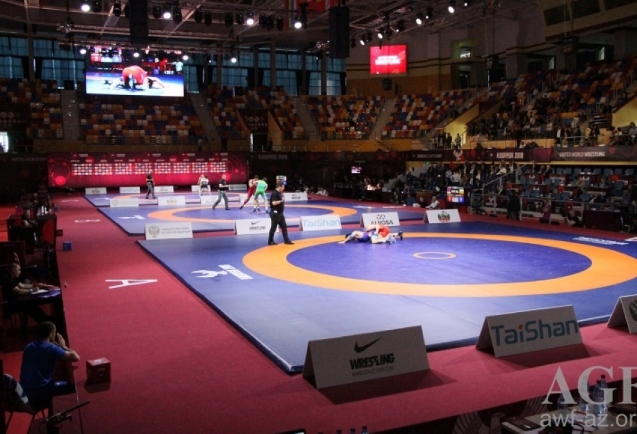 Пять наших вольников вступили в борьбу на чемпионате Европы