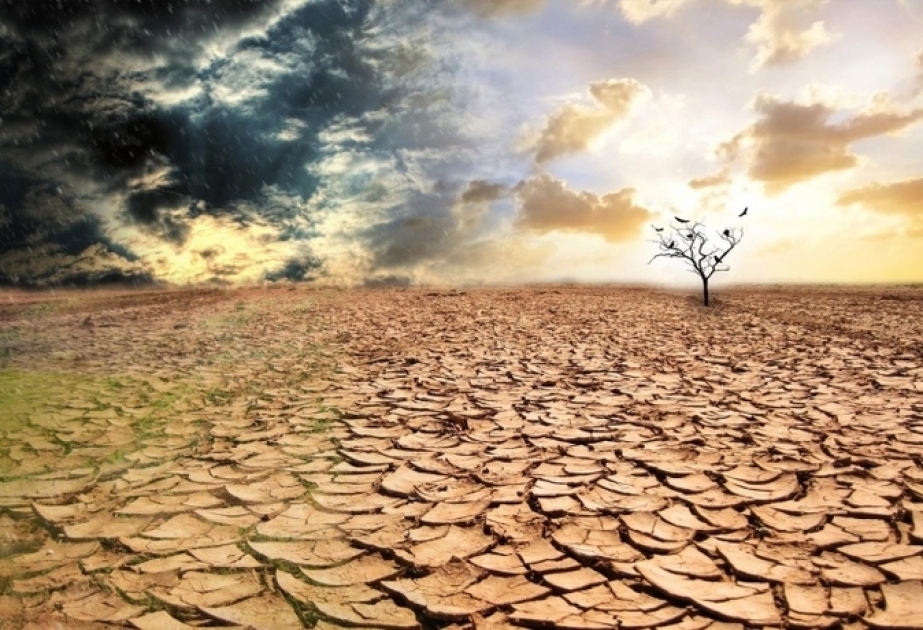 ФАО: 33 процента почвы в мире непригодны для сельского хозяйства