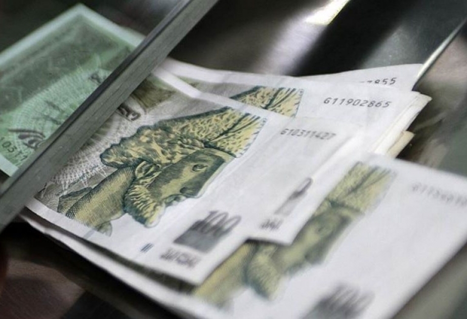Gürcüstan əhalisinin banklara 8 milyard dollardan çox borcu var