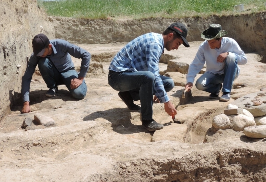 Çaqqallıqtəpə abidəsində aparılan arxeoloji qazıntılar Kür-Araz mədəniyyətinə xas yeni tikili qalıqlarını üzə çıxarıb  VİDEO