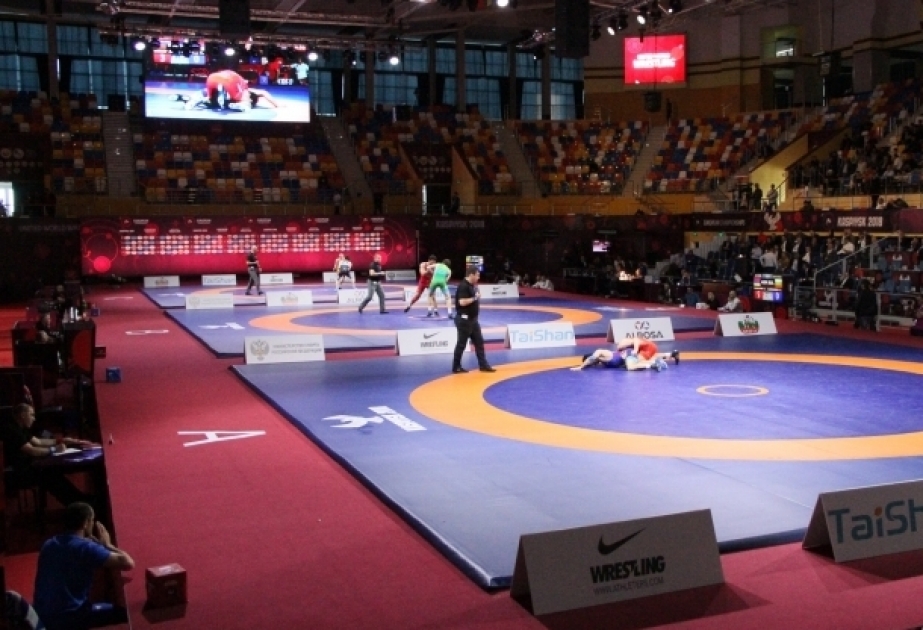 Еще пять вольников вступают в борьбу на чемпионате Европы