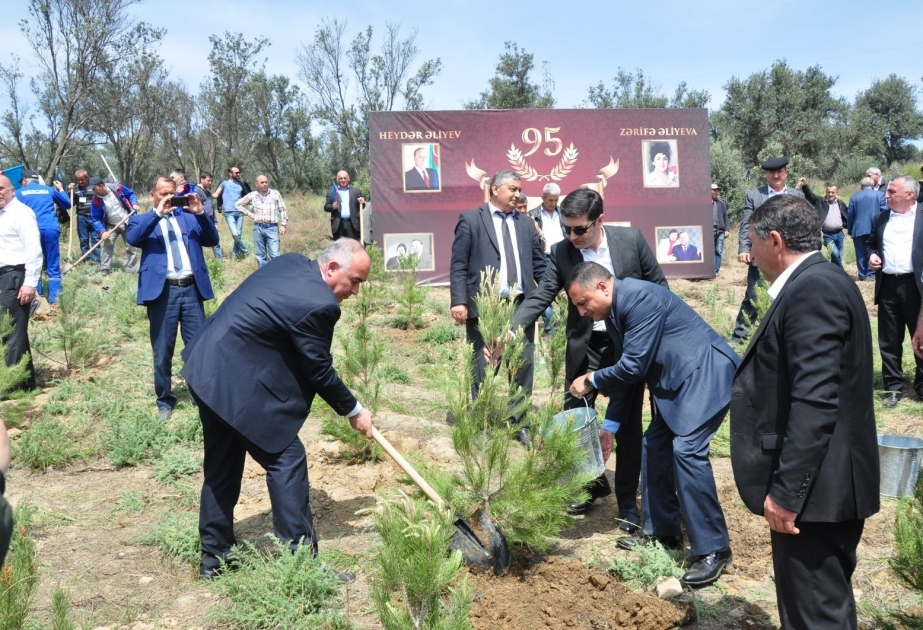 Ulu Öndərin 95 illiyi ilə əlaqədar Xətai rayonunda 500 ağac əkilib