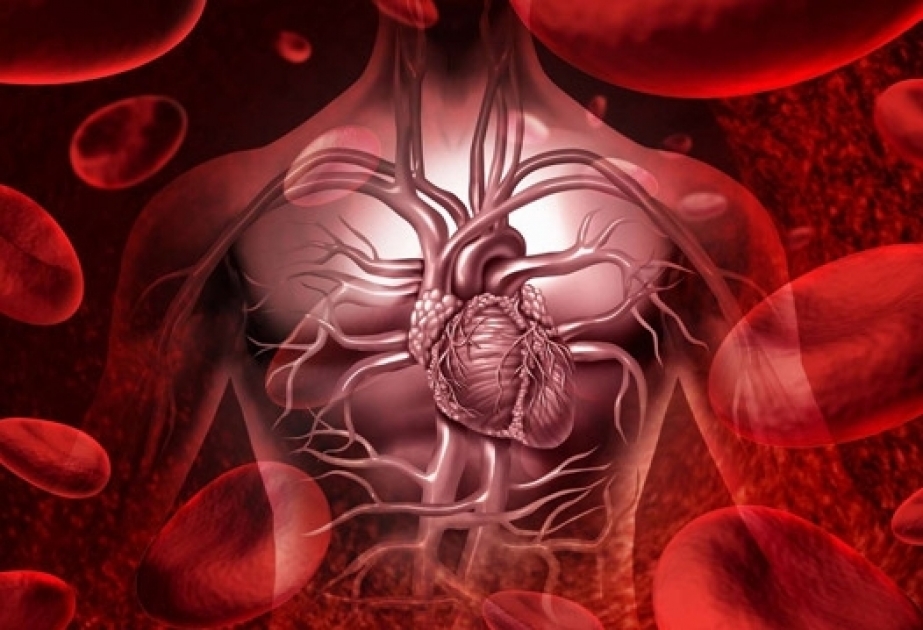 Mayın 8-i Beynəlxalq Talassemiya Günüdür