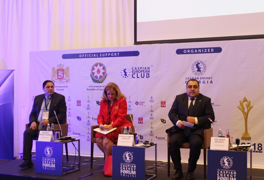Tbilisidə beynəlxalq “Caspian Energy Forum-2018” keçirilir