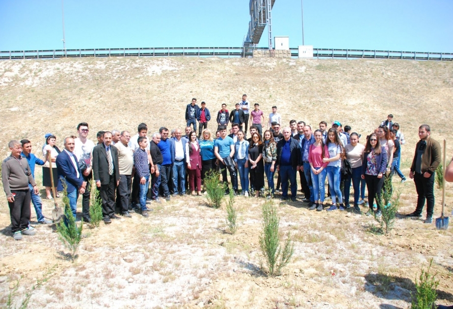 Ramana qalası ətrafında 1000, Bakıxanov qəsəbəsində 200 ağac əkilib