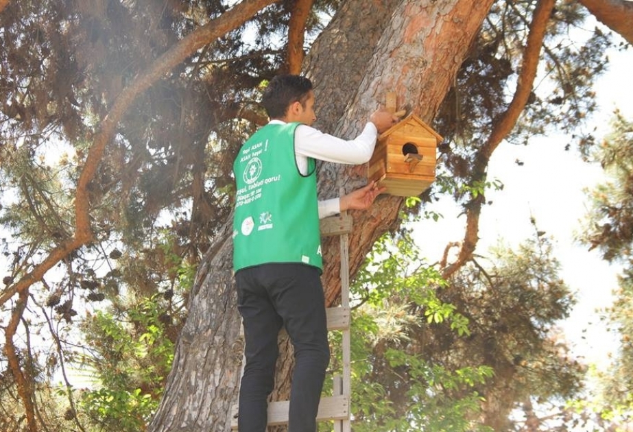 “Yaşıl ASAN”dan sosial aksiya: “Bir ovuc yem”