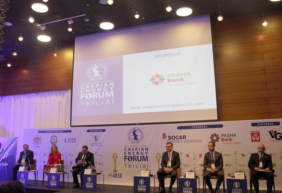 Tbilisi hosts 5th Caspian Energy Forum