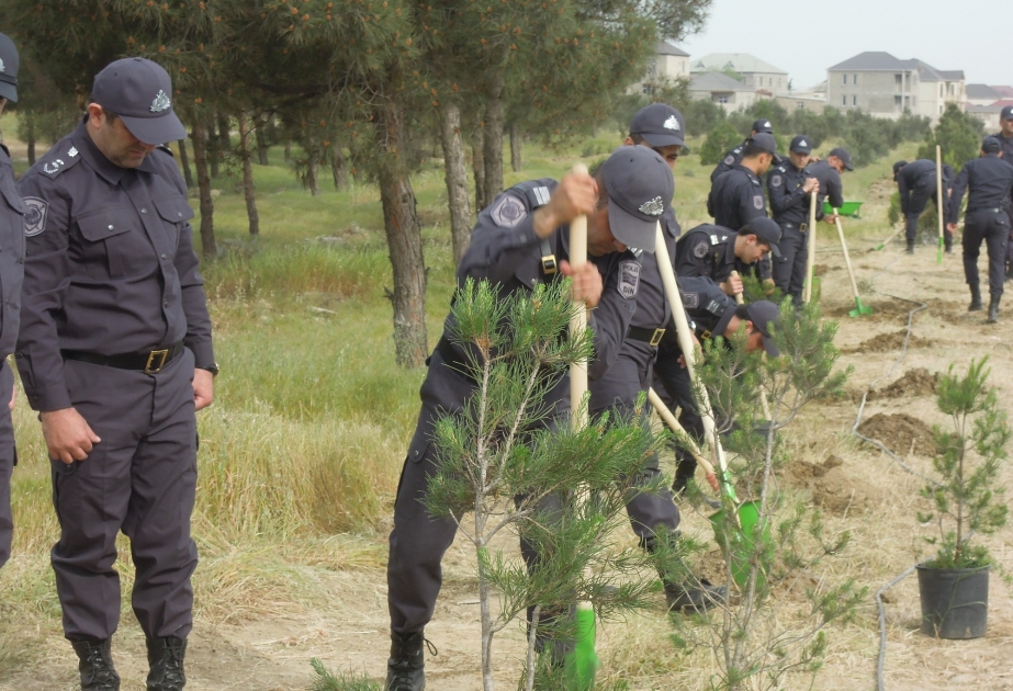 Ətraf mühitin mühafizəsi və sağlamlaşdırılması polisin də diqqət mərkəzindədir
