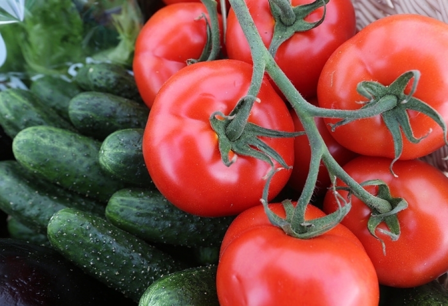 Россельхознадзор может ввести временные ограничения на ввоз овощей из Армении