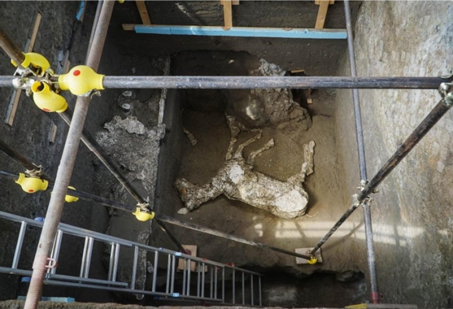 Pompeji: Forscher entdecken Pferd unter Vulkanasche