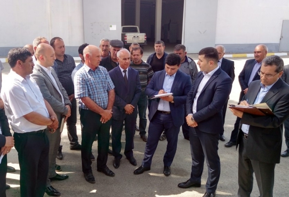 "Aqrolizinq" ASC-nin sədri: Kəndli və fermerlərə yaxından kömək göstəriləcək  VİDEO