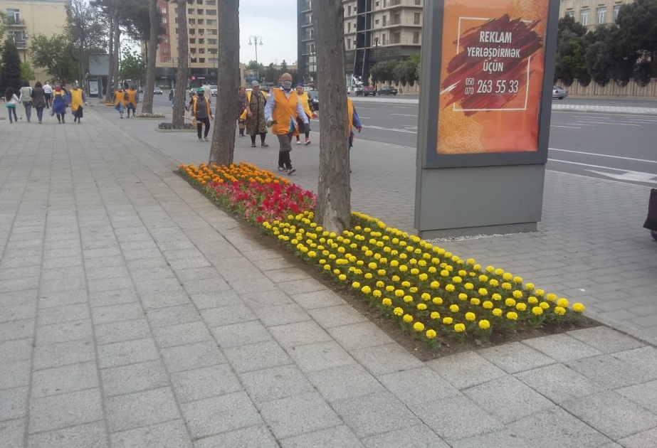 Xətai rayonunda növbəti iməcilik iki küçəni əhatə edib