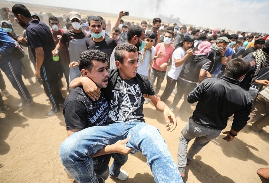 43 شهيدًا بالرصاص الإسرائيلي قرب حدود غزة