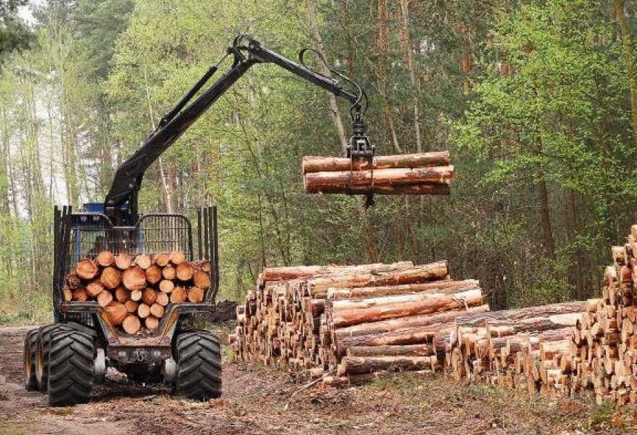 В Финляндии впервые в истории выдвинута гражданская инициатива по охране экологии