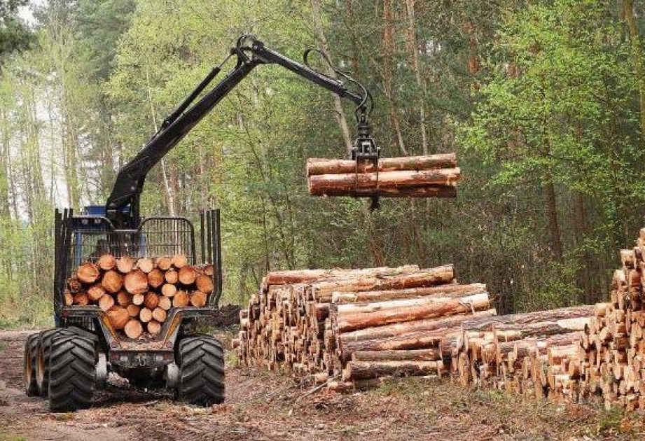 Finlandiyada ilk dəfə ekologiyanın mühafizəsi sahəsində vətəndaş təşəbbüsü irəli sürülüb