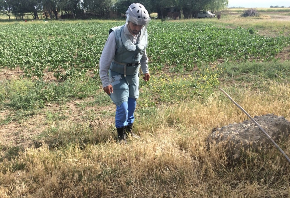 Ağcabədi rayonunun Hindarx qəsəbəsinin ərazisində əl qumbarası tapılıb