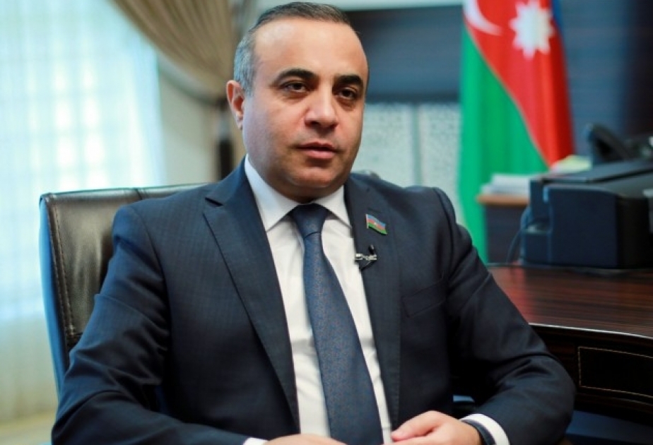ATƏT PA-nın vitse-prezidenti: AŞPA-nın Azərbaycan nümayəndə heyətinin rəhbəri ilə bağlı qərarı ziddiyyətlərlə doludur