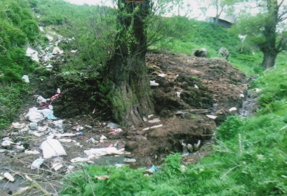 Daşkəsəndə ekoloji qanunvericiliyin tələblərini pozan şəxs cərimələnib