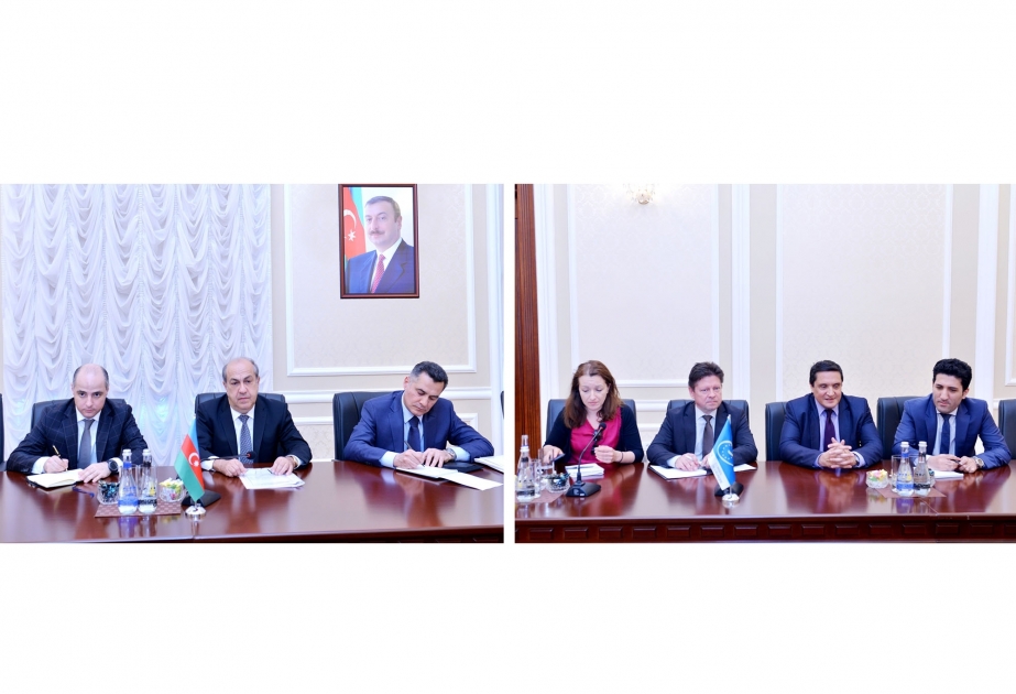 Azerbaijan Deputy Minister of Justice meets Council of Europe official