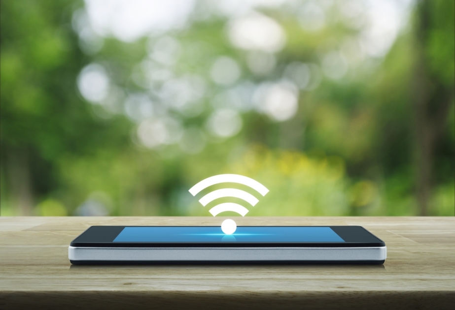 Wi-Fi более опасен для дикой природы, чем считалось ранее