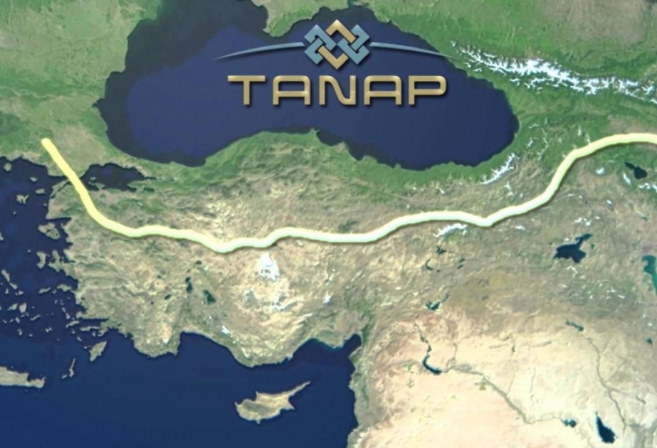 Турция надеется на участие Туркменистана в проекте TANAP