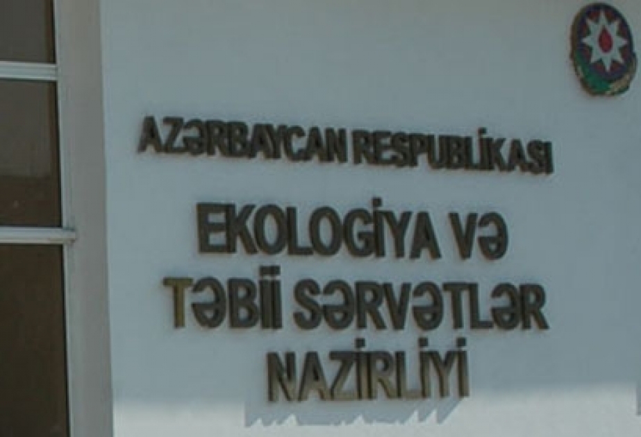 Gədəbəy rayonunda iki ağacın kəsilməsi nəticəsində təbiətə 220 manat ziyan dəyib