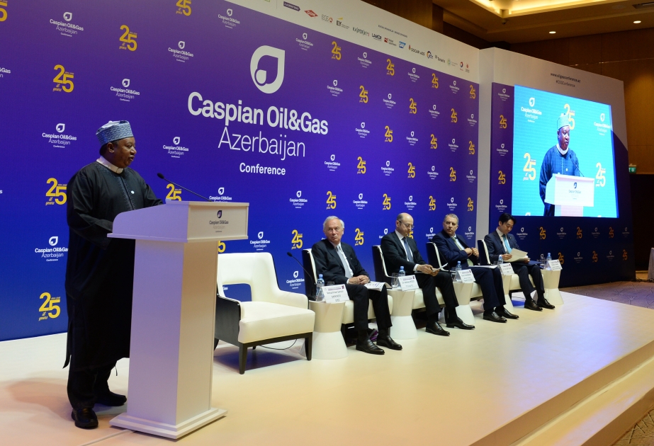 OPEC: Neft bazarında ekstremal dəyişikliklərə hazır olmaq üçün xüsusi mexanizmlər həyata keçiriləcək