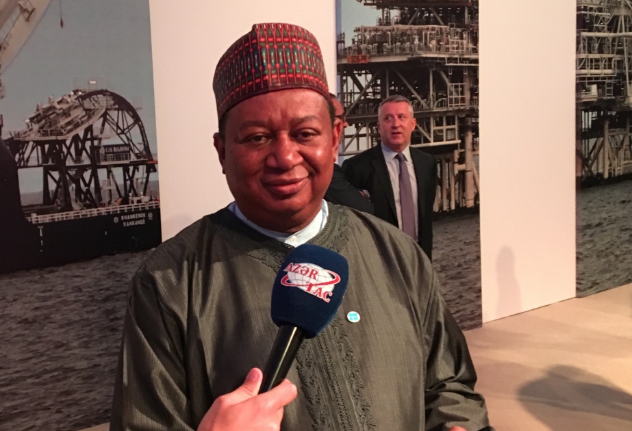 Mohammad Barkindo: We are delighted that OPEC and non-OPEC countries cooperation is strongly supported by President Ilham Aliyev