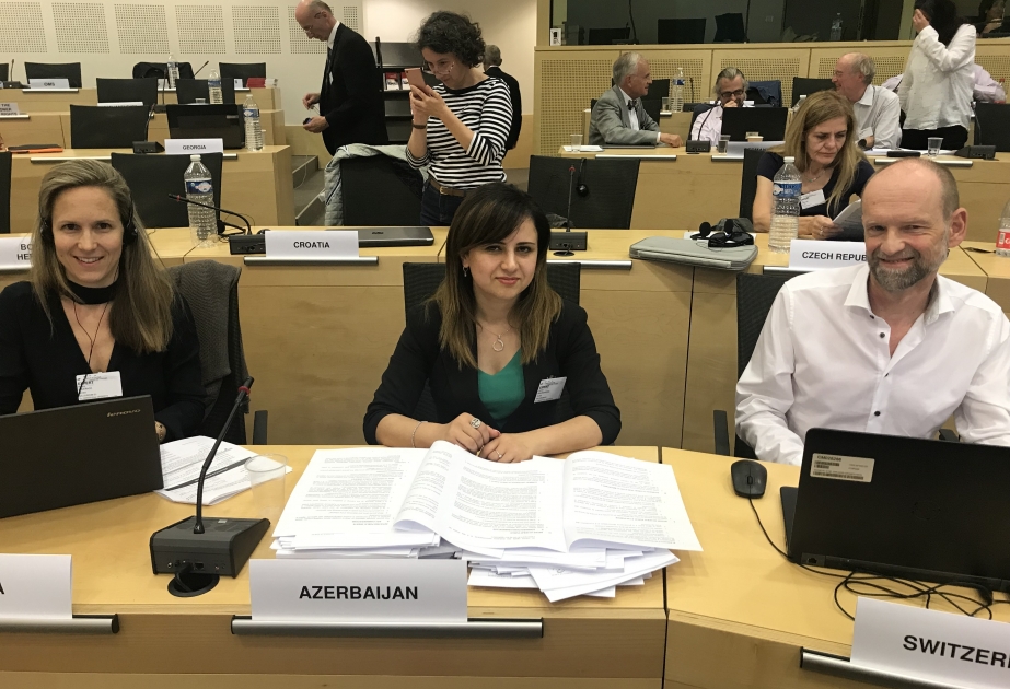 Azərbaycanlı alim Avropa Şurasının Bioetika Komitəsinin iclasında iştirak edib