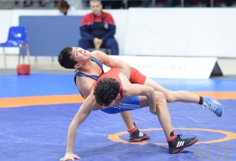 Junior Azerbaijani wrestlers to compete at international tournament in Georgia