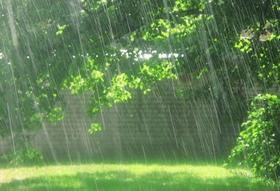 Синоптики предупреждают: ожидаются дожди, грозы, ливни и град