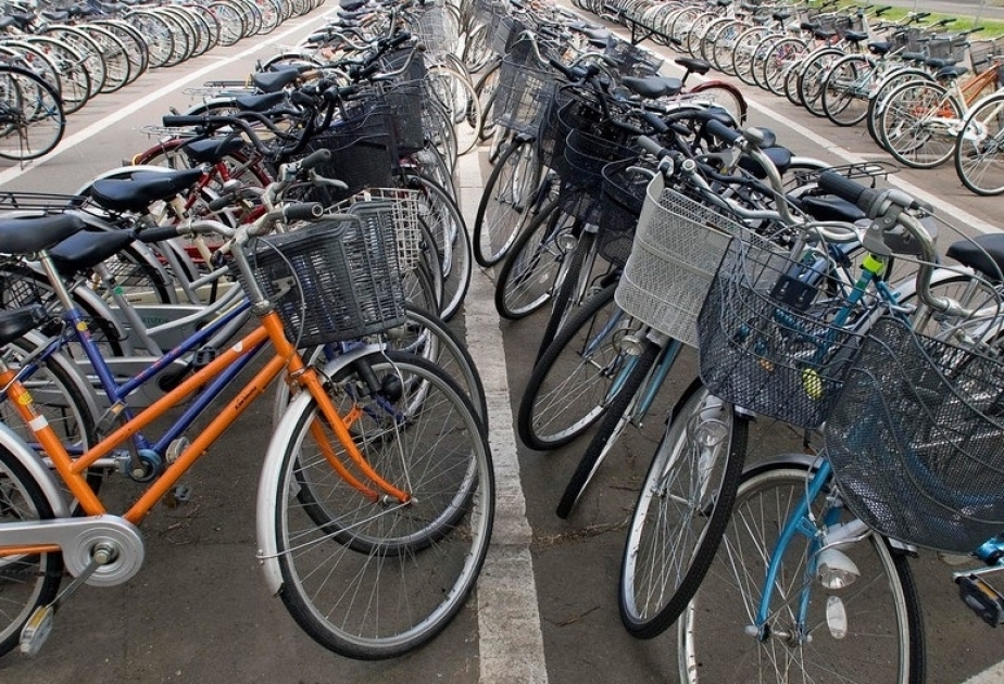 В ООН призывают активней пересаживаться на велосипеды