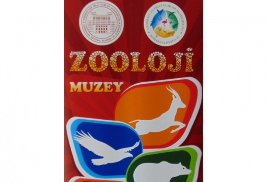 Zooloji Muzeydə “açıq qapı” günü elan olunub
