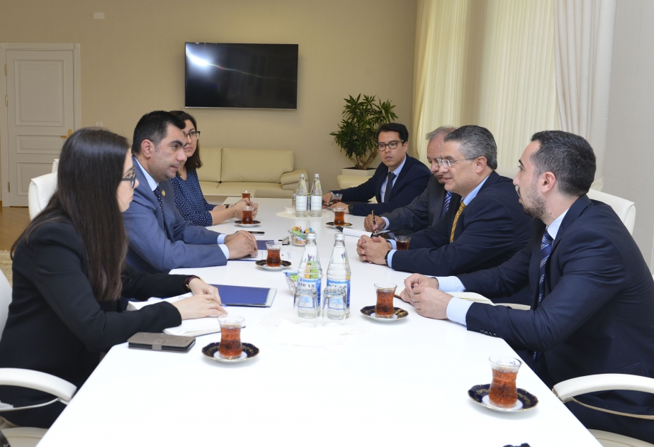 BHOS, Mexican Institute of Petroleum discuss cooperation prospects