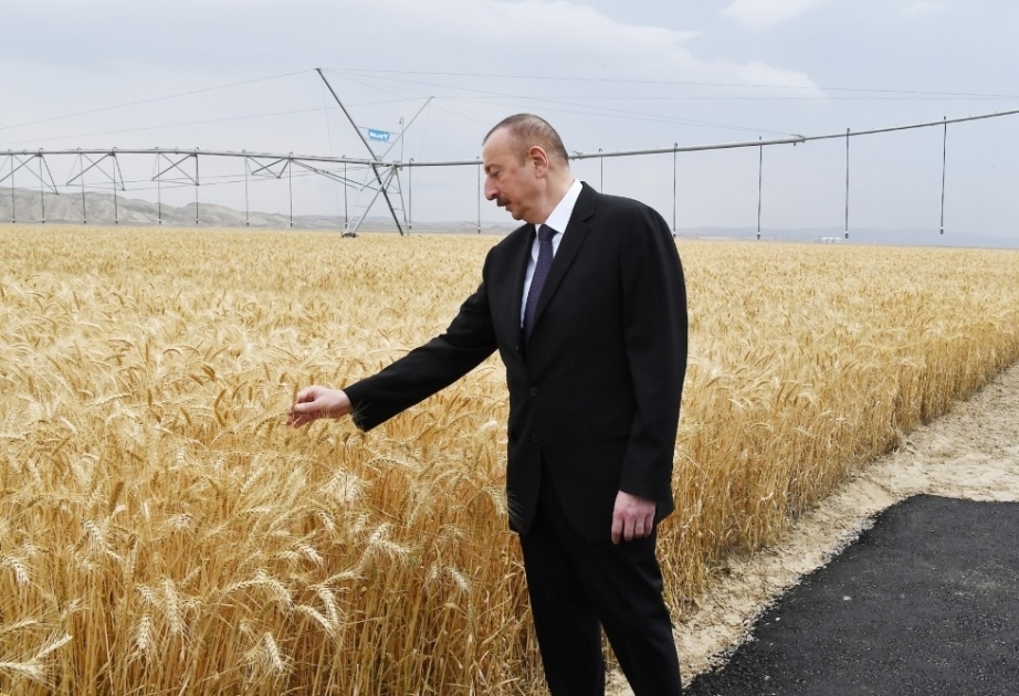 In Gründung von 45 Agro-Parks in Aserbaidschan werden 1,4 Milliarden Manat investiert