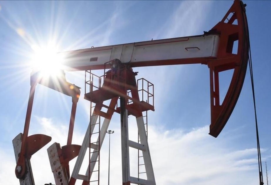 OPEC: Keçən il qlobal neft hasilatı 0,9 faiz azalıb