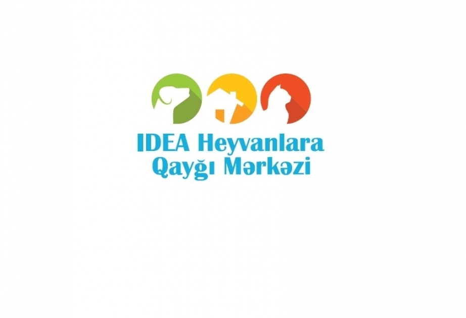IDEA Heyvanlara Qayğı Mərkəzində sahibsiz itlərin sterilizasiyası üzrə daha bir aksiya keçiriləcək