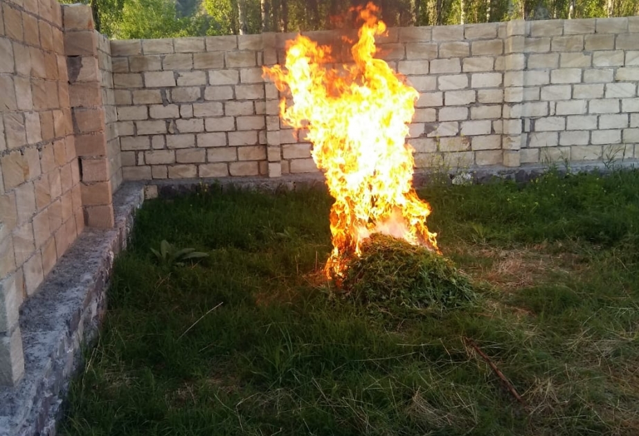 Narkotik vasitələrin qanunsuz dövriyyəsinə mübarizə tədbirləri davam etdirilir
