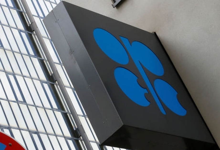 Mayda OPEC üzrə neft hasilatı artıb