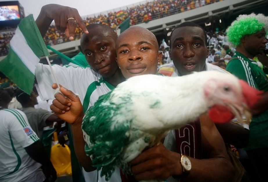 Фанатам сборной Нигерии не разрешили пронести живых кур на арену в Калининграде