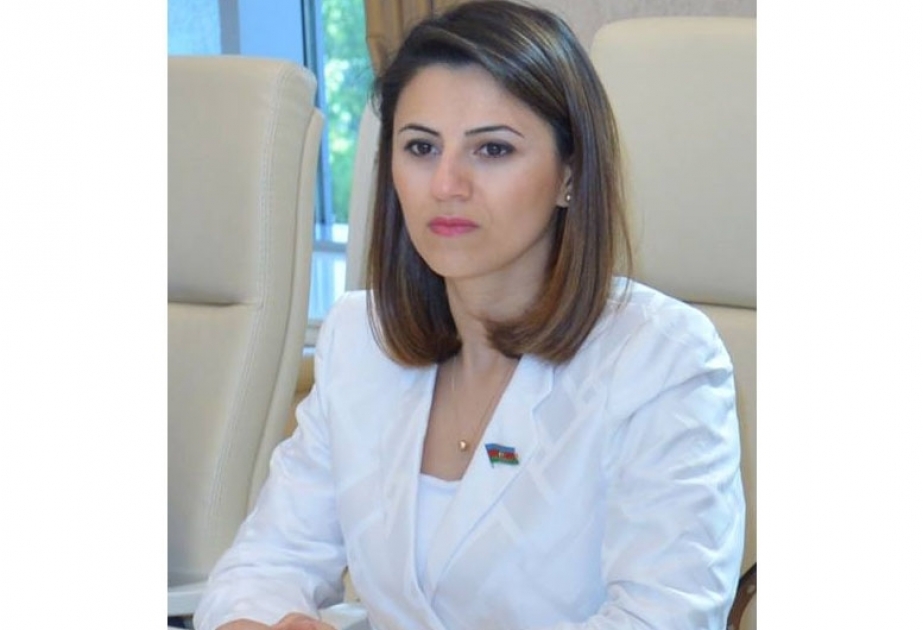 Sevinc Fətəliyeva: TANAP Avropa üçün yeni enerji mənbələrinin əsasını qoyub
