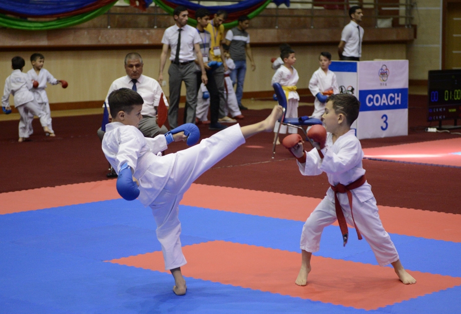 Azərbaycanın Milli Qəhrəmanı, tankçı Albert Aqarunovun xatirəsinə həsr olunmuş beynəlxalq karate turniri başlayıb