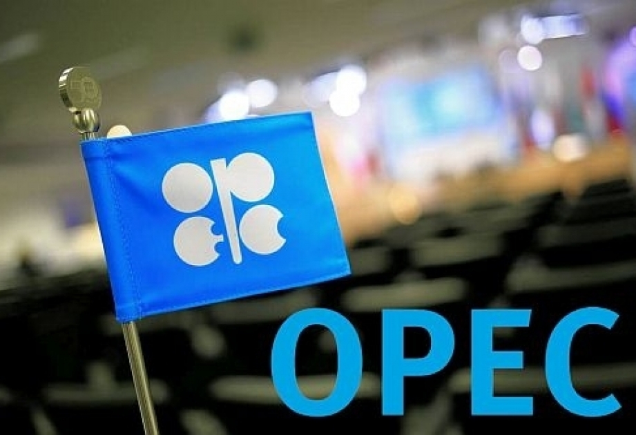 Россия приветствует решение ОПЕК по увеличению добычи нефти на 1 миллион баррелей в сутки