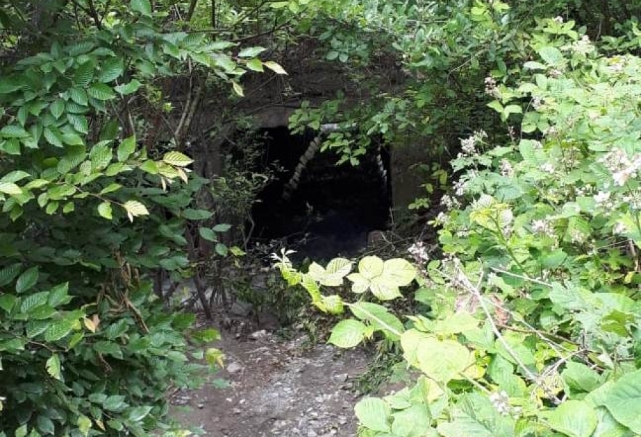 Ekologiya və Təbii Sərvətlər Nazirliyinin “Qaynar xətt”inə daxil olan şikayət araşdırılıb