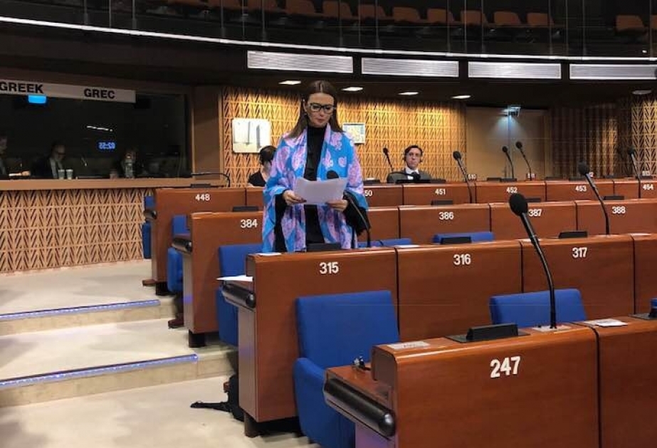 Azərbaycanlı deputat: Ermənistan təmsilçilərinin insan hüquqlarından danışmağa haqları yoxdur