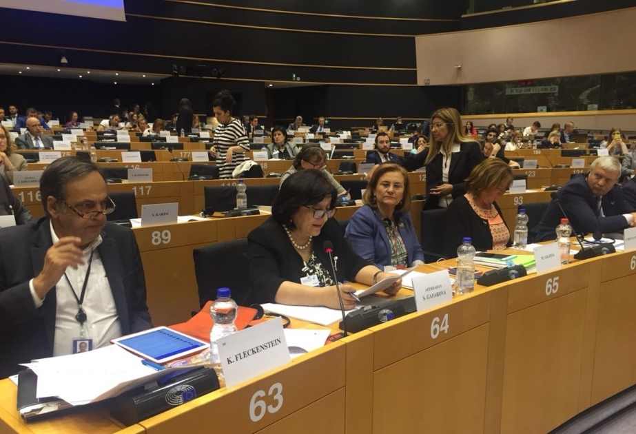 Azərbaycanlı deputatlar Avronest PA-da erməni təxribatlarının qarşısını alıblar