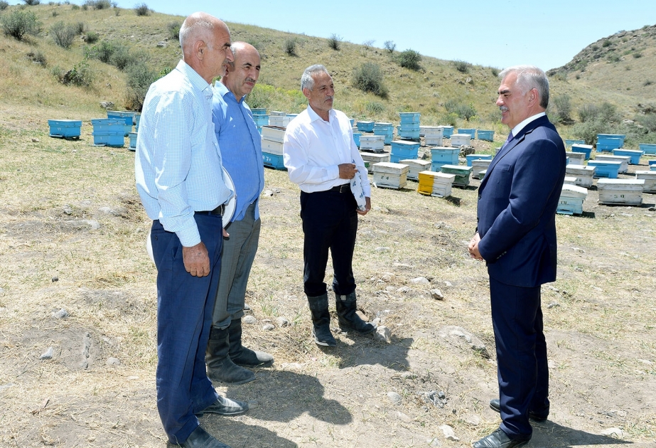 Günnüt kəndinin torpaqlarından səmərəli istifadə olunur