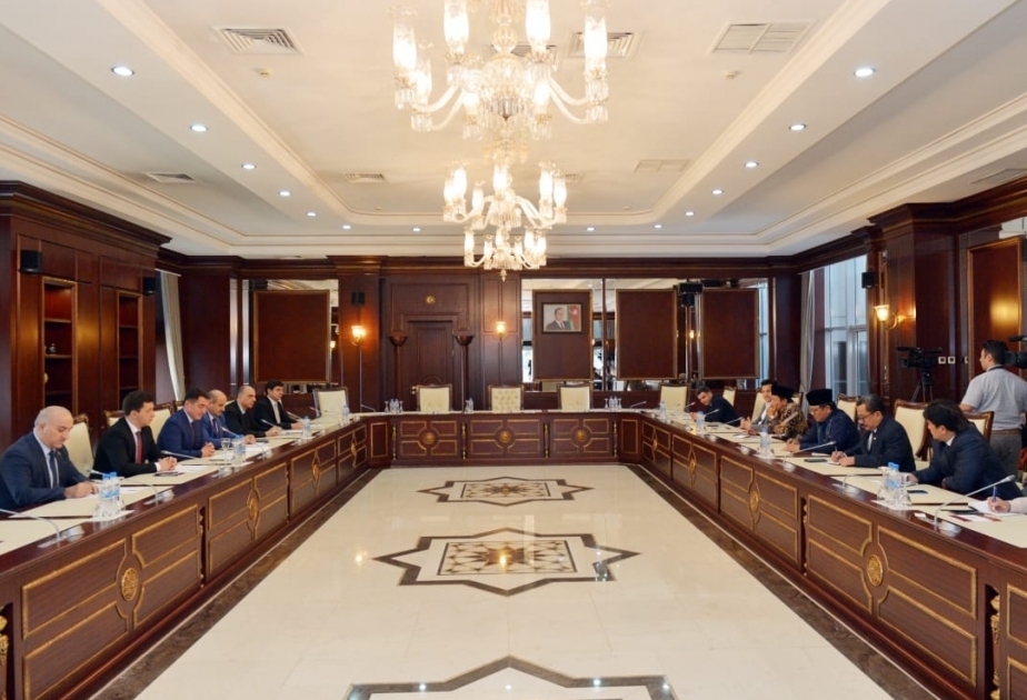 Azerbaijan, Indonesia discuss ways of developing interparliamentary relations