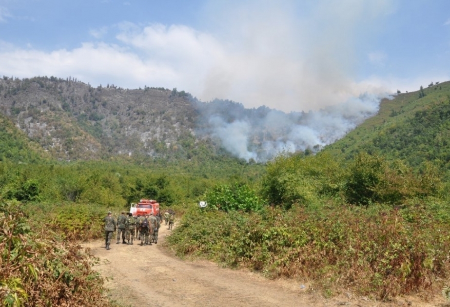 نشوب حريق في غابة جبلية بمحافظة يارديملي